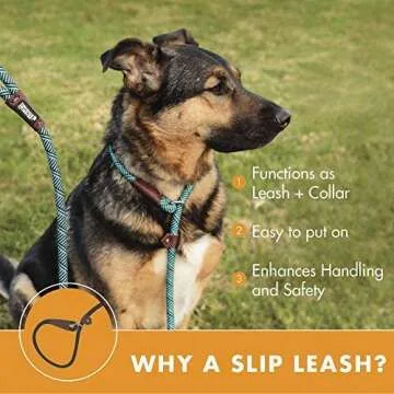 Friends Forever Extremely Durable Dog Rope Leash, Premium Quality Training Slip Lead, Reflective, Thick Heavy Duty, Sturdy, No Pull, Comfortable For The Strong Large Medium Small Pets 6 feet, Black