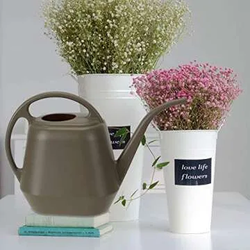 Fasmov Plastic Watering Can 1-Gallon Durable Deep Gray