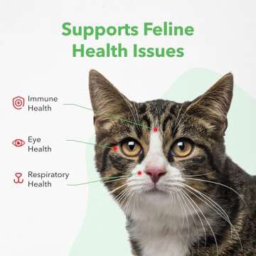 Vetoquinol Viralys Gel L-Lysine Supplement for Cats, 5oz - Cats & Kittens of All Ages - Immune Health - Sneezing, Runny Nose, Squinting, Watery Eyes - Palatable Maple Flavor Lysine Gel