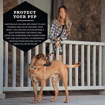 Wolfgang Heavy Duty Martingale Dog Collar with Quick Release Nylon Buckle for Walking & Training, LostArt Print, Large