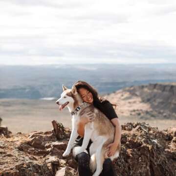 Wolfgang Heavy Duty Martingale Dog Collar with Quick Release Nylon Buckle for Walking & Training, LostArt Print, Large