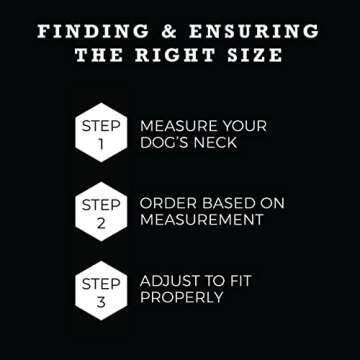 Wolfgang Heavy Duty Martingale Dog Collar with Quick Release Nylon Buckle for Walking & Training, LostArt Print, Large