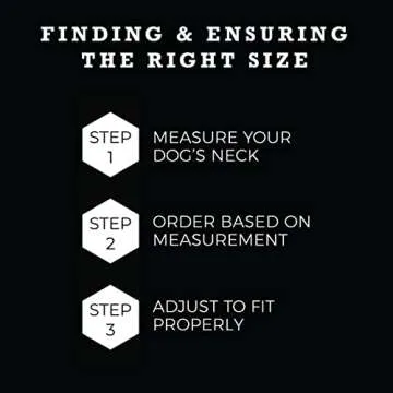 Wolfgang Heavy Duty Martingale Dog Collar with Quick Release Nylon Buckle for Walking & Training, LostArt Print, Large