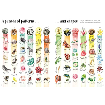 Shapes and Patterns in Nature for Kids 3-10
