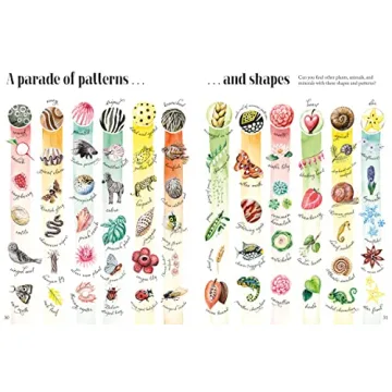 Shapes and Patterns in Nature for Kids 3-10