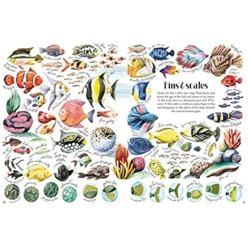 Shapes and Patterns in Nature for Kids 3-10