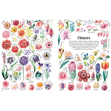 Shapes and Patterns in Nature for Kids 3-10