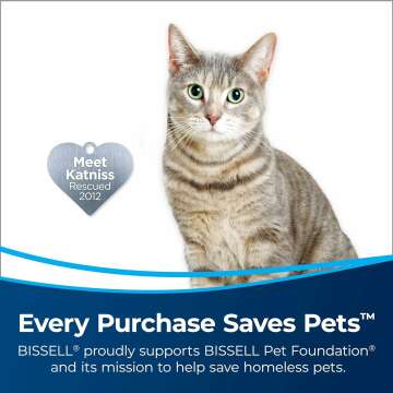 BISSELL AeroSlim Black Handheld Vacuum