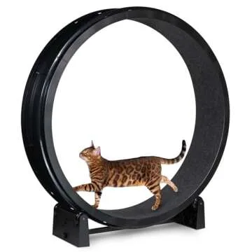 One Fast Cat Exercise Wheel - Safe & Durable 48" for All Cats