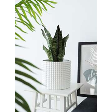 Shiny White Vintage-Style Ceramic Plant Pots for Indoors