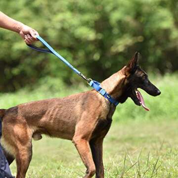 Hyhug Durable and Comfy 18'' Nylon Short Leash with Super Soft Neoprene Lined Handle for Large Mediu...