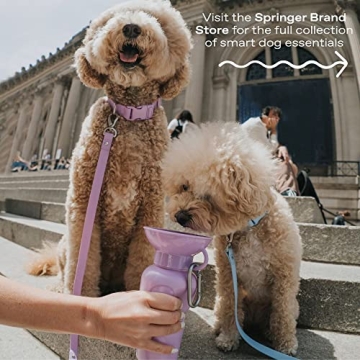 Springer Portable Dog Water Bottle | BPA-Free & Leak-Proof | 22oz
