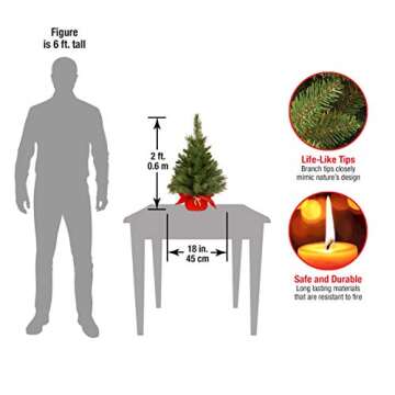 National Tree Company Artificial Christmas Tree, Green