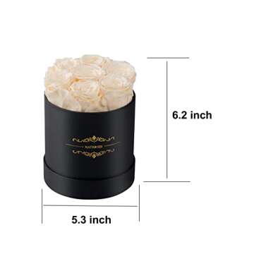 NATROSES Preserved Roses in a Round Box Roses That Last Up to 3 Years, Long Lasting Roses Valentines Day Gifts for Her, Mothers Day Gifts from Daughter (Buttermilk)