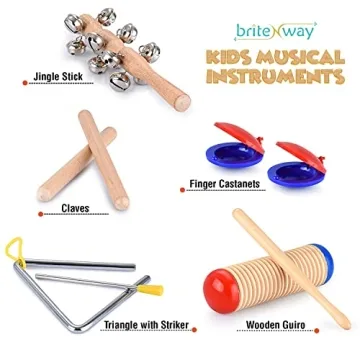 Musical Instrument Set for Toddlers 21 Pcs Educational Fun