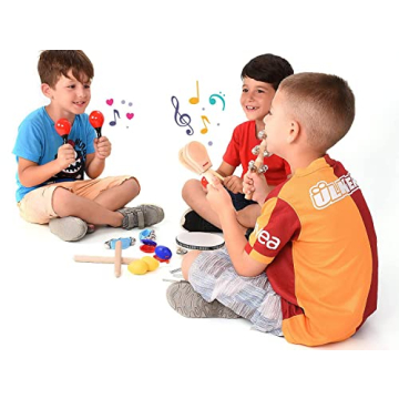 Musical Instrument Set for Toddlers 21 Pcs Educational Fun