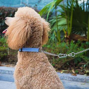 Fourhorse Stainless Steel Chain Martingale Collar,Training Dog Collar for Small Medium Large Pets (Medium, Blue Grid)