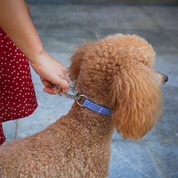 Fourhorse Stainless Steel Chain Martingale Collar,Training Dog Collar for Small Medium Large Pets (Medium, Blue Grid)