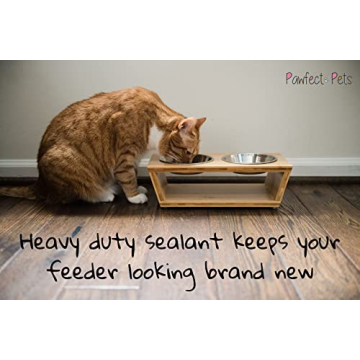 Elevated Dog & Cat Bowls: Stylish & Ergonomic Feeding Solution