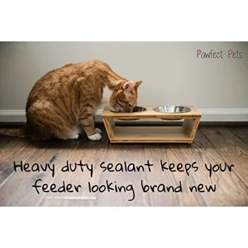 Elevated Dog & Cat Bowls: Stylish & Ergonomic Feeding Solution