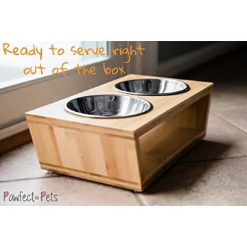 Elevated Dog & Cat Bowls: Stylish & Ergonomic Feeding Solution