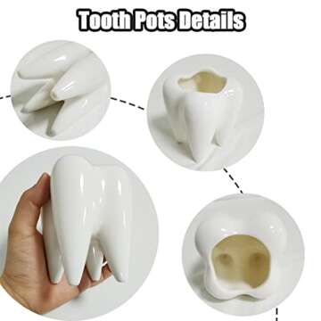 Small Tooth-Shaped Ceramic Succulent Pots for Home Decor
