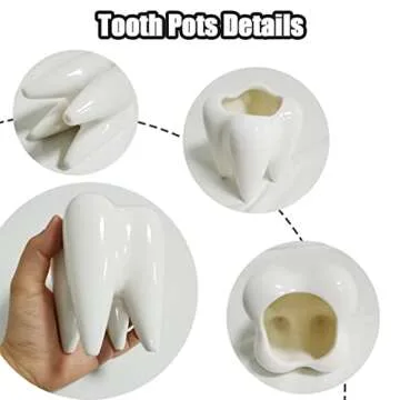 Small Tooth-Shaped Ceramic Succulent Pots for Home Decor