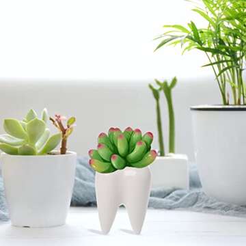 Small Tooth-Shaped Ceramic Succulent Pots for Home Decor