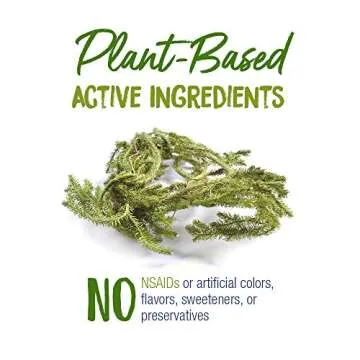 Boiron Lycopodium Clavatum 30C - Gas and Bloating Relief