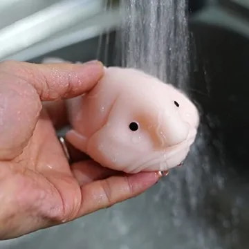 Blobfish Toy, Pull, Stretch and Squeeze Stress, Cute Fish Toy for Anxiety Relief, Funny Cute Sensory Toys for Autism, Birthday, Christmas, Office, Stocking Stuffer Gift