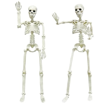 2 Pack 3FT Poseable Halloween Skeleton Decorations for Indoor/Outdoor