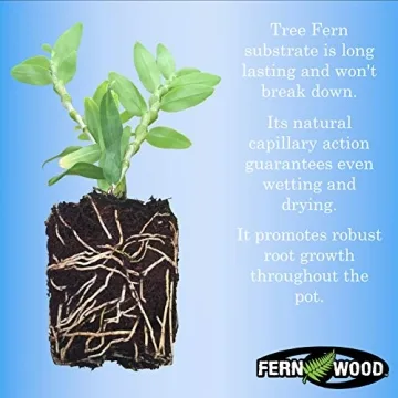 Fernwood Orchid Medium - Natural Growing Substrate for Plants