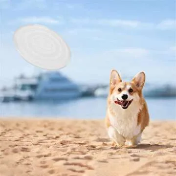 Collapsible Dog Bowl - Portable Travel Bowls for Pets