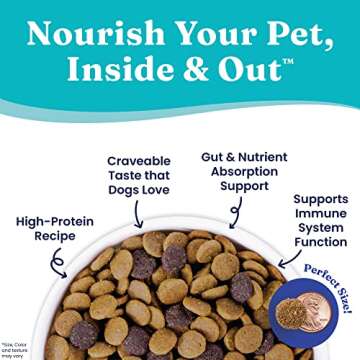 High Protein Solid Gold Dog Food for Adult & Senior Pets