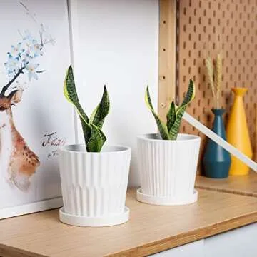 Greenaholics 5.1 Inch White Planters with Drainage