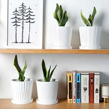 Greenaholics Ceramic Plant Pots Indoor - 5.1 Inch White Flower Planters with Drainage Holes and Connected Saucers for Succulent or Small Snake Plant, Set of 4