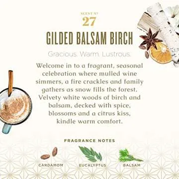 Caldrea Dish Soap, Biodegradable Dishwashing Liquid made with Soap Bark and Aloe Vera, Gilded Balsam Birch Scent, 16 oz