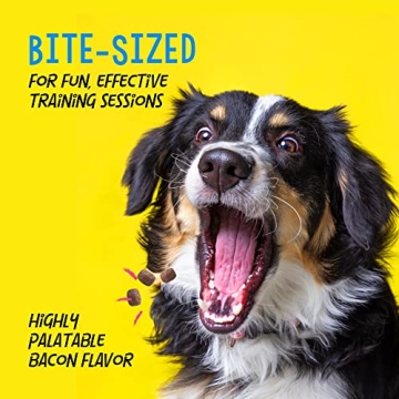 Crazy Dog Bacon Training Treats Healthy Rewards 16 Oz