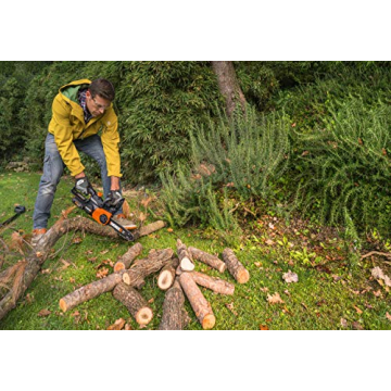 Worx WG322 20V Cordless Chainsaw with Auto-Tension
