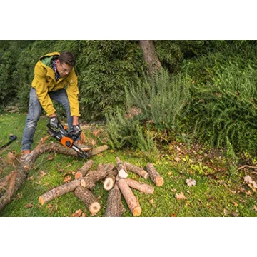 Worx WG322 20V Cordless Chainsaw with Auto-Tension