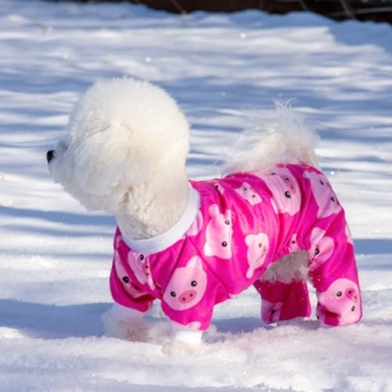 CuteBone Dog Christmas Pajamas for Small Dogs