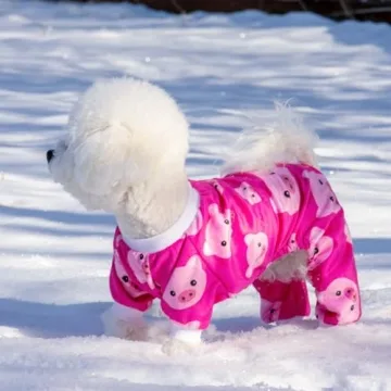 CuteBone Dog Christmas Pajamas for Small Dogs