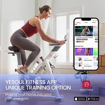 YESOUL S3 Quiet Indoor Cycling Bike for Home