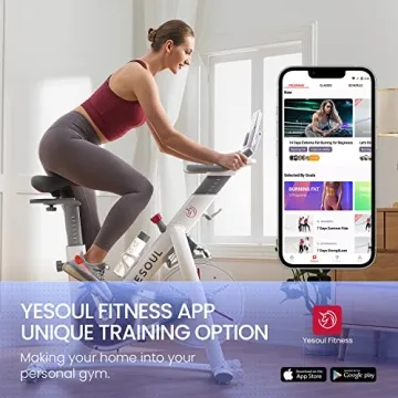 YESOUL S3 Quiet Indoor Cycling Bike for Home