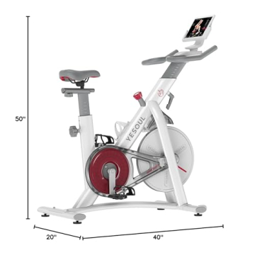 YESOUL S3 Quiet Indoor Cycling Bike for Home