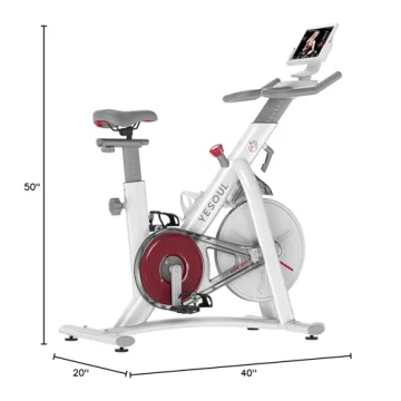 YESOUL S3 Quiet Indoor Cycling Bike for Home