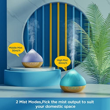 Large Capacity Aroma Diffuser and Essential Oils Set