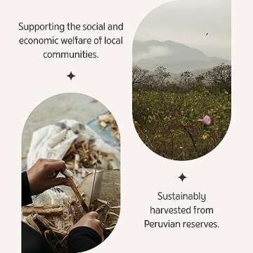 Premium Palo Santo Incense Sticks for Meditation and Relaxation