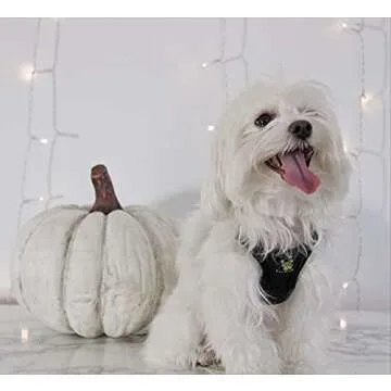 EcoBark Dog Harness - Eco-Friendly Max Comfort Harnesses - Luxurious Soft Mesh Halter - Over The Head Harness Vest- No Pull and No Choke for Small, Toy Breed, and Teacup Dogs (XS, Black)