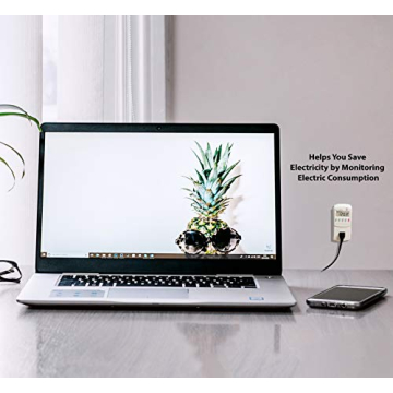 Monitor Your Energy Usage with P3 P4400 Kill A Watt